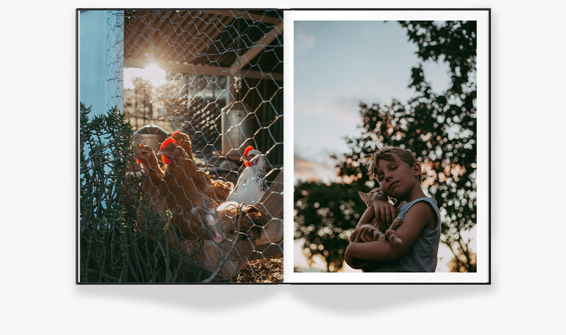 Open black portrait premium photo book of farm animals and young boy at sunset in barn under trees