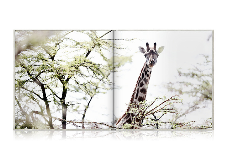Quadrado do álbum de fotografias de viagem aberto com uma foto de uma girafa entre as árvores.
