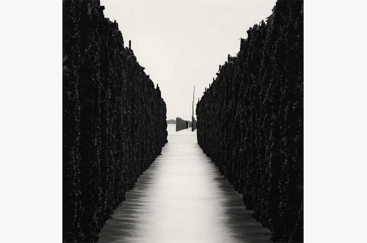 https://cdn.milkbooks.com/media/2532/photowisdom-michaelkenna.jpg