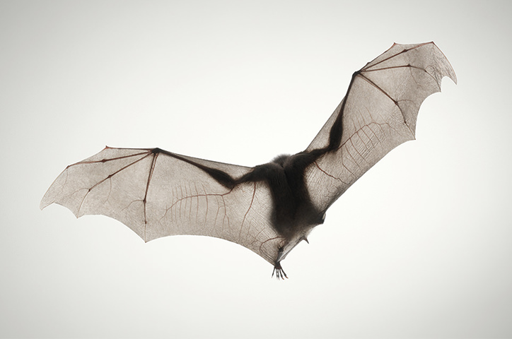 https://cdn.milkbooks.com/media/2520/photowisdom-timflach.jpg