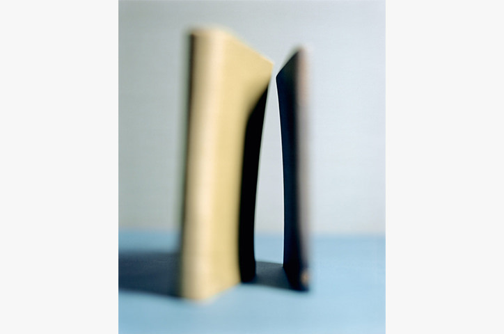 https://cdn.milkbooks.com/media/2528/photowisdom-victorschrager.jpg